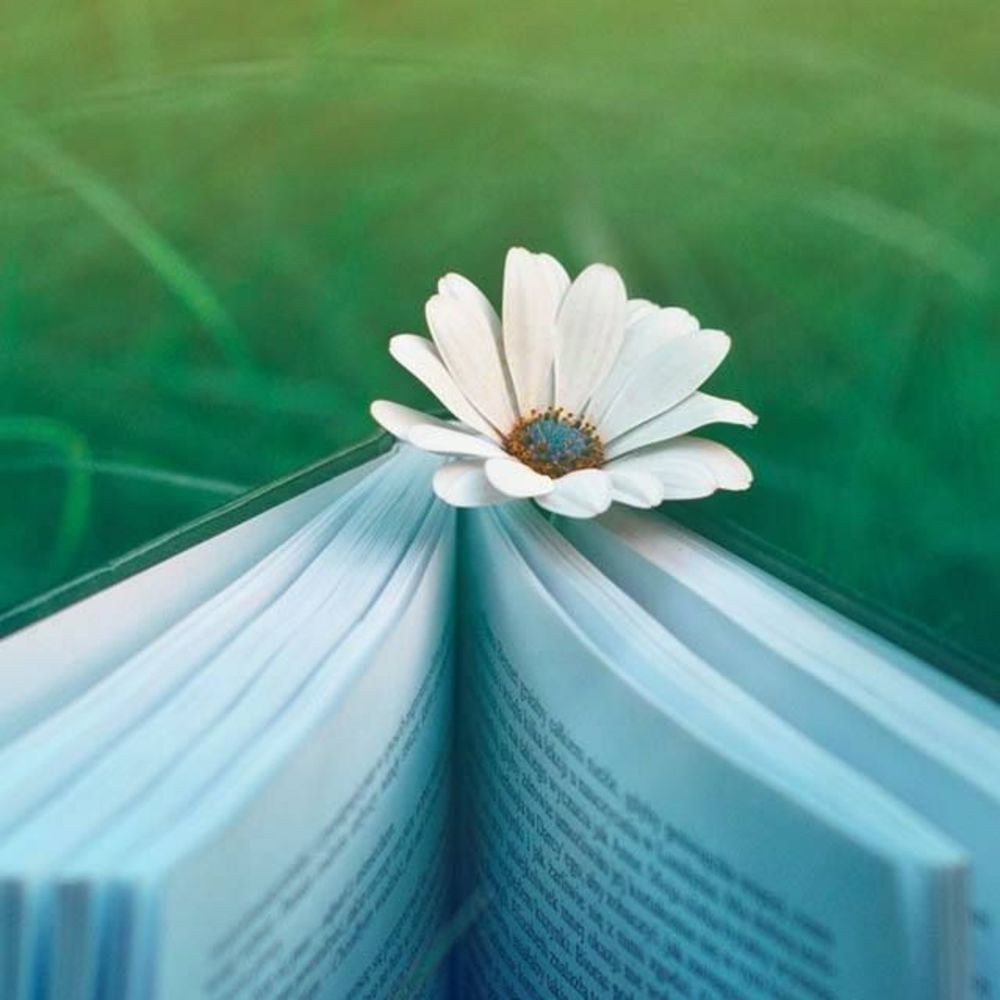 Meet your Posher, Anne